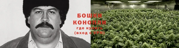 таблы Новокубанск