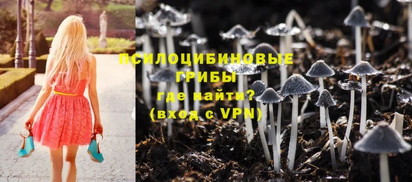 мяу мяу мука Заволжск