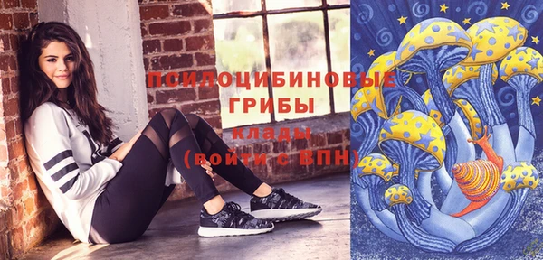 ПСИЛОЦИБИНОВЫЕ ГРИБЫ Мегион